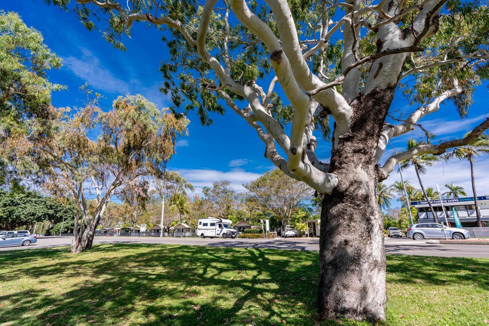 Big4 Tasman Holiday Parks - Rowes Bay Townsville Buitenkant foto